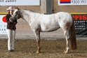 21-ApHC HMC_036